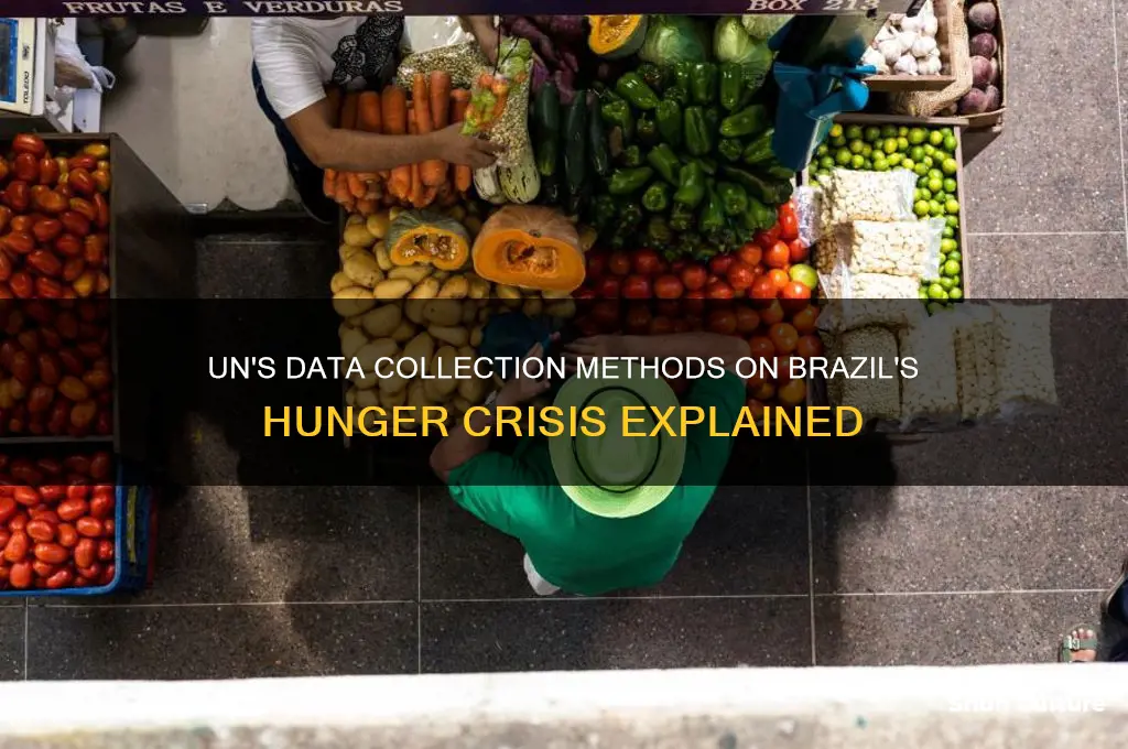 how does the un collect data on hunger for brazil