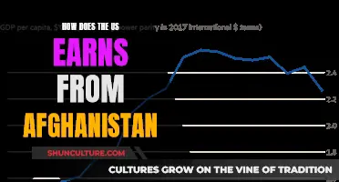 The Economics of US Presence in Afghanistan: A Complex Web of Interests and Investments