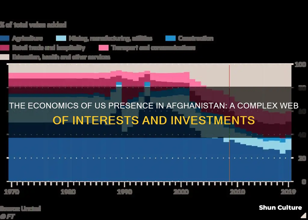 how does the us earns from afghanistan