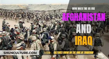 US Engagement in Afghanistan and Iraq: Strategies and Objectives