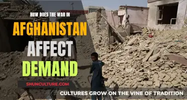 The Impact of Conflict: Afghanistan's War and Global Demand Patterns