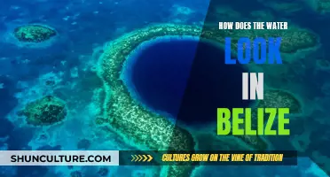 Belize's Underwater Paradise: A Snorkeler's Dream