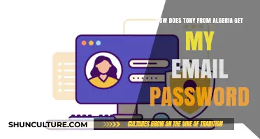 How Tony from Algeria Could Potentially Access Your Email Password