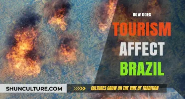 Exploring Tourism's Impact on Brazil's Economy, Culture, and Environment