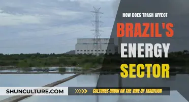Brazil's Energy Crisis: Trash's Impact on Power Generation and Sustainability