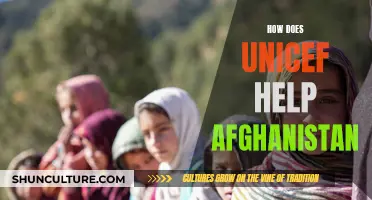 UNICEF's Lifeline: Delivering Hope and Aid to Afghanistan's Children