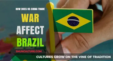 US-China Trade War: Opportunities and Challenges for Brazil's Economy