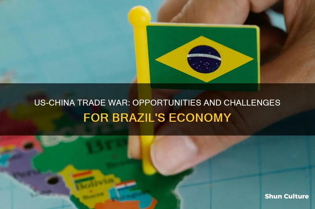 how does us china trade war affect brazil