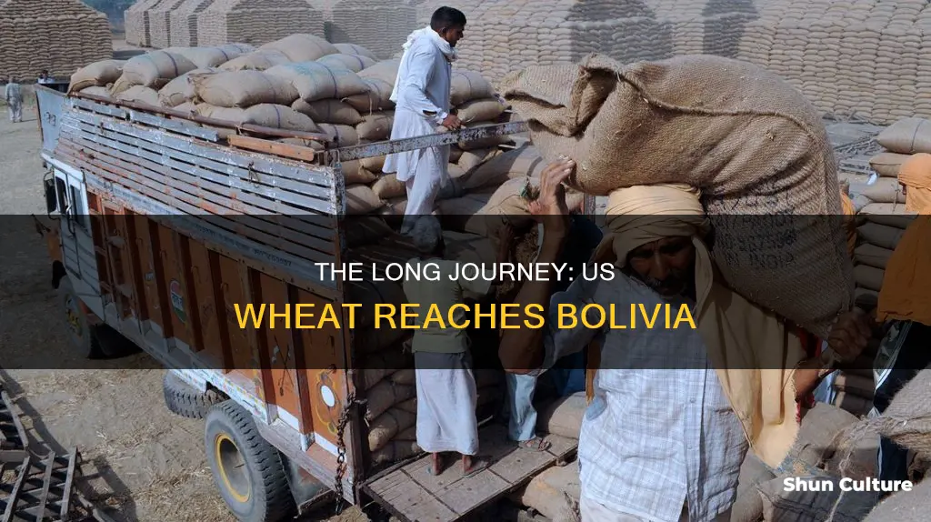 how does us wheat get to bolivia