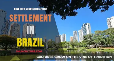 Vegetation's Impact on Brazilian Settlement Patterns and Urban Development