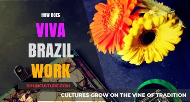 Understanding Viva Brazil: How the Loyalty Program Works and Benefits