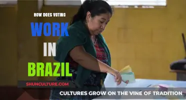Understanding Brazil's Voting System: A Comprehensive Guide to Elections