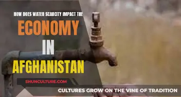 The Thirst for Development: Afghanistan's Water Crisis and Economic Struggles