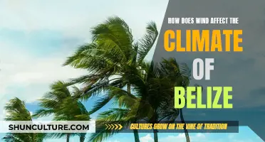 The Wind's Whisper: Unveiling Belize's Climate Secrets