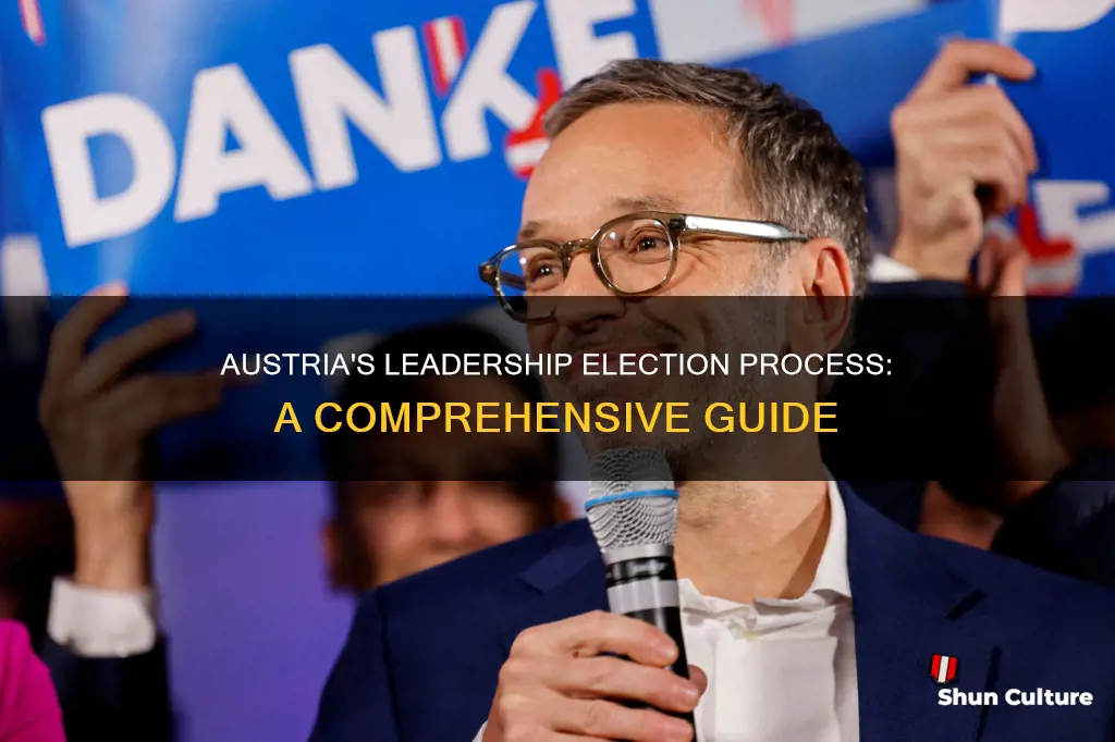 how dose austria elect leaders