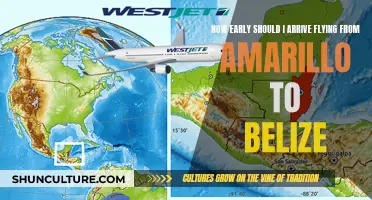 Strategizing Your Adventure: Navigating the Amarillo-Belize Flight