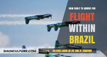Brazil Flight Tips: Optimal Arrival Time for Stress-Free Travel