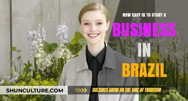 Starting a Business in Brazil: Simplified Steps and Key Insights