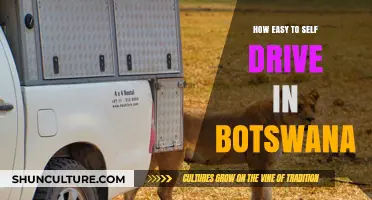 Exploring Botswana: Self-Drive Adventures Made Simple and Enjoyable