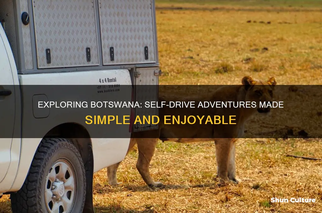 how easy to self drive in botswana