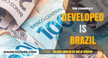 Brazil's Economic Development: Progress, Challenges, and Global Standing