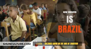 Brazil's Education Landscape: Achievements, Challenges, and Future Prospects