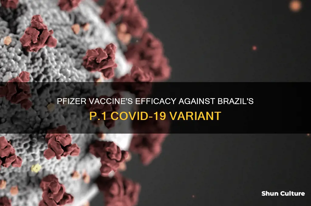 how effective is the pfizer vaccine against the brazil variant
