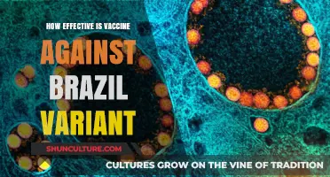 Brazil Variant: Assessing Vaccine Effectiveness and Protection Levels