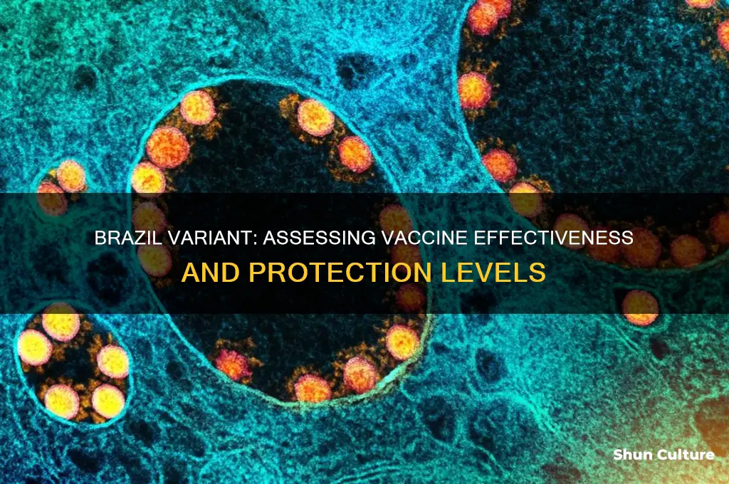 how effective is vaccine against brazil variant