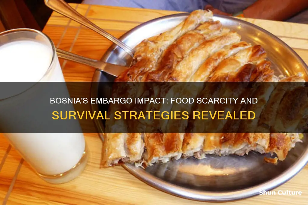 how embargo in bosnia affected food
