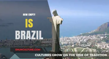 Exploring Brazil's Vast Emptiness: Population, Geography, and Untouched Landscapes