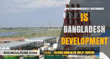 Bangladesh's Development: Balancing Growth with Environmental Sustainability Challenges