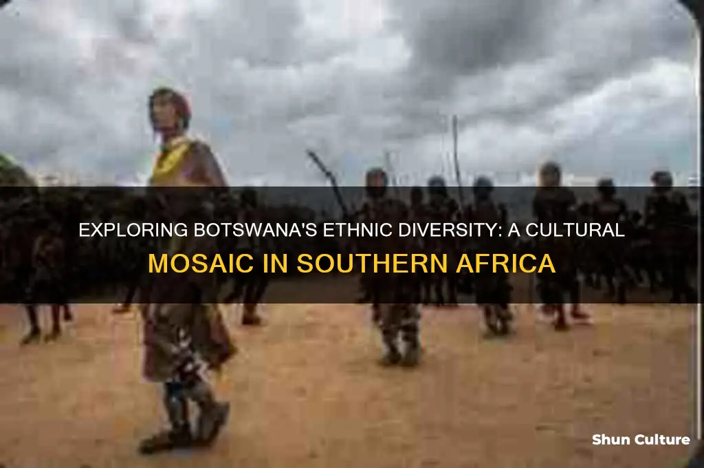 how ethnically diverse is botswana
