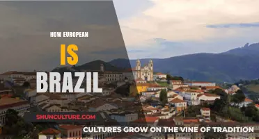 Brazil's European Heritage: Culture, Language, and Identity Explored