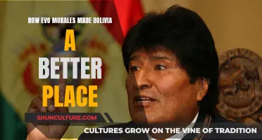 Bolivia's Evolution: Morales' Impact and Legacy