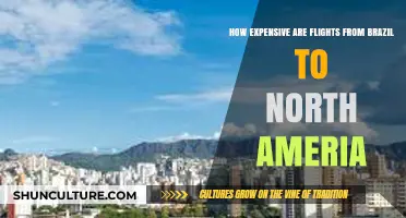 Brazil to North America Flights: Cost Breakdown and Budget Tips
