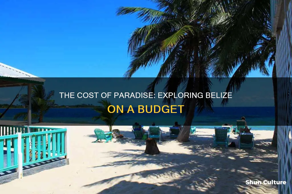 how expensive is a trip to belize