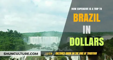 Exploring Brazil: Trip Costs in Dollars for Budget Travelers
