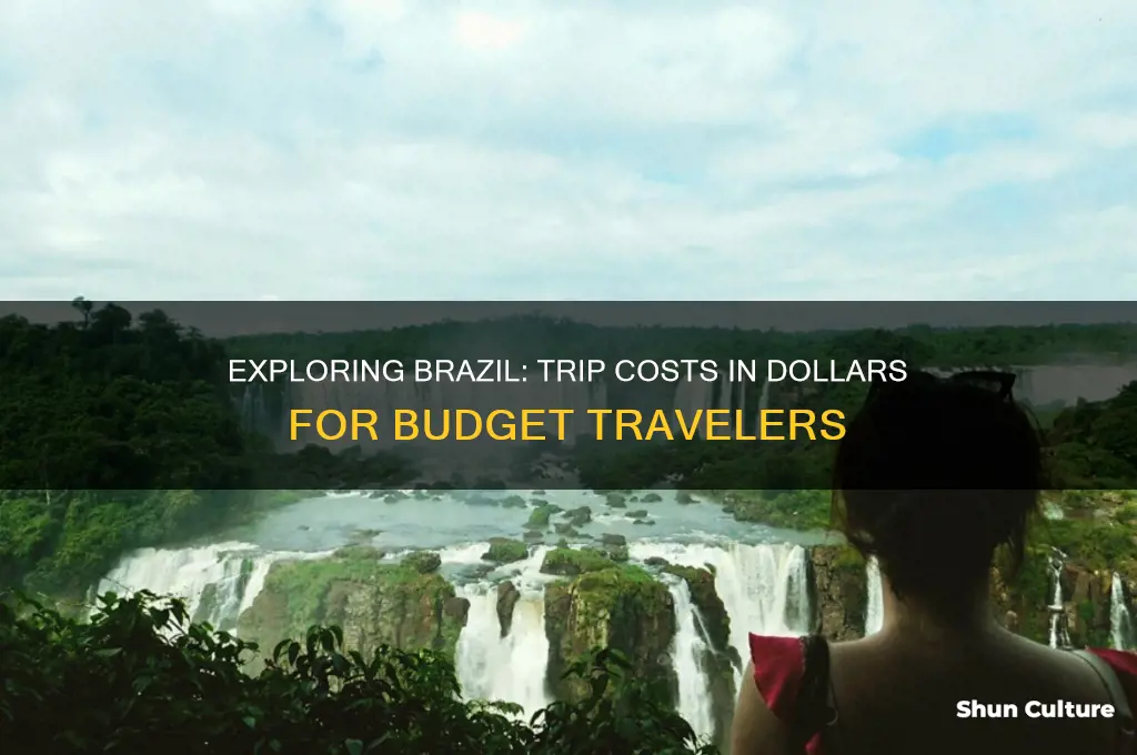 how expensive is a trip to brazil in dollars