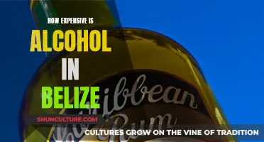 The High Cost of Alcohol in Belize: A Traveler's Guide