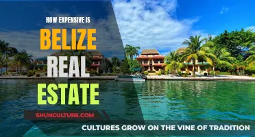 Belize's Real Estate Market: A Tropical Paradise with a Price Tag