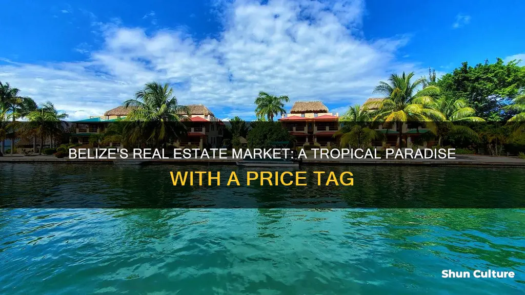 how expensive is belize real estate