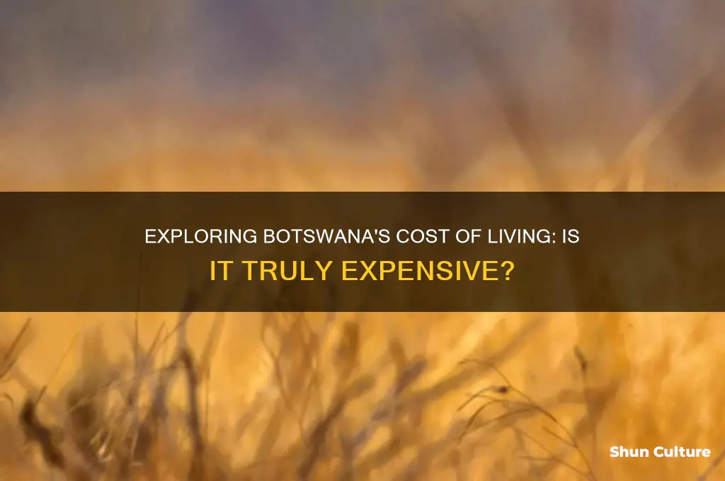 how expensive is botswana