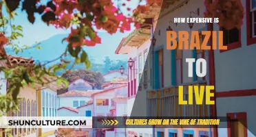 Living in Brazil: Unveiling the Cost of Life in a Vibrant Nation