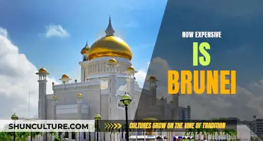 Exploring Brunei: A Costly Adventure in the Kingdom of Unexpected Expenses