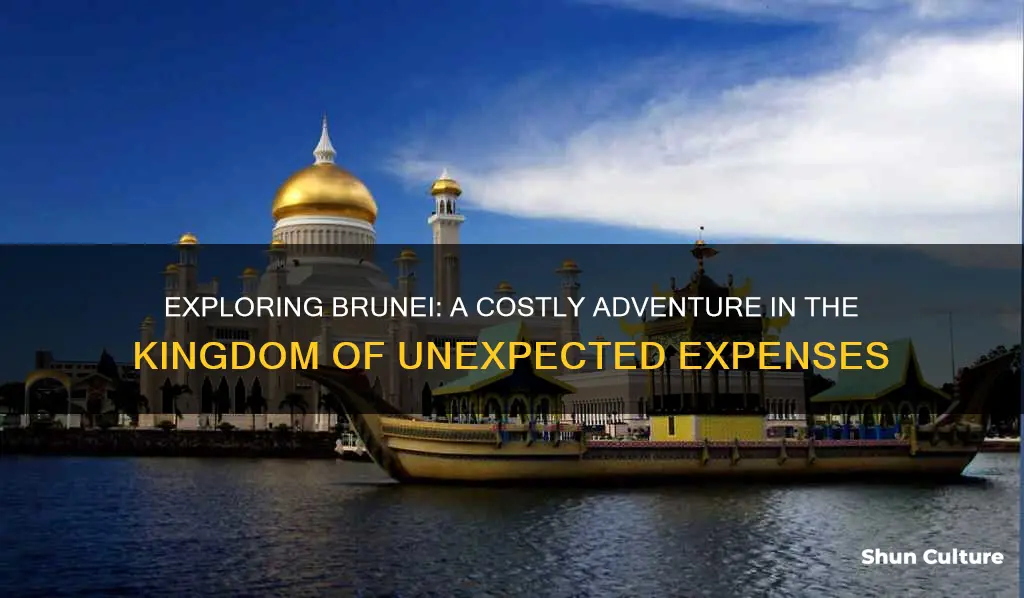 how expensive is brunei