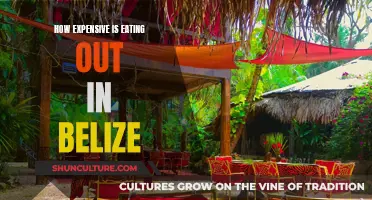 Belize's Dining Scene: A Costly Culinary Adventure