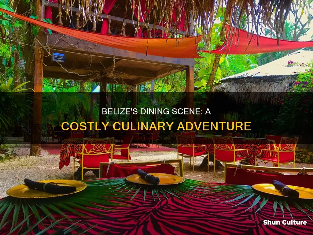 how expensive is eating out in belize