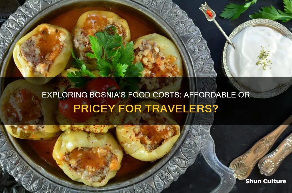 how expensive is food in bosnia