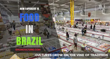 Exploring Brazil's Food Costs: A Budget-Friendly or Pricey Experience?